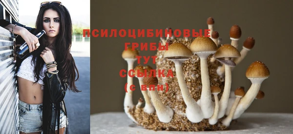 мдма Инта